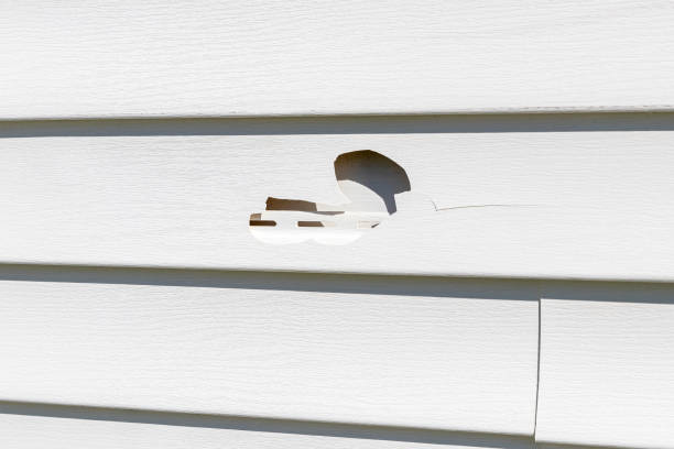 Reliable Jeannette, PA Junk Removal Solutions